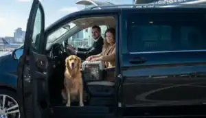 Pet-Friendly Taxi Manchester: Safe pet Transport Guide 2026 2 Pet-Friendly Transport